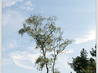 20110820_0060