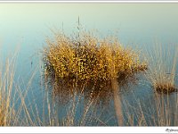 20120328_0018