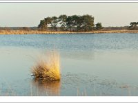20120328_0019