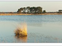 20120328 0019 : Leenderheide