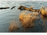 20120328_0025