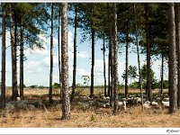 20120729 0006 : Leenderheide