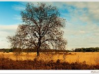 20130130_0001