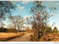 20130130_0004