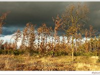 20130130_0007