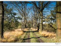 20131110 0002 : Leenderheide