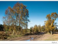 20131110_0006