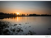 20140810_0001