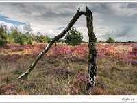 20140831 0216 : Leenderheide