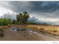 20140831 0220 : Leenderheide