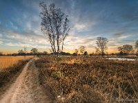 20170120 0042 : Leenderheide