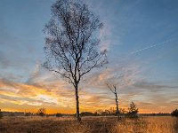 20170120 0058 : Leenderheide