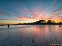 20170120 0094 1 : Leenderheide