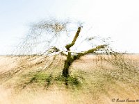 20170409 0018 : Leenderheide