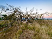 20170625 0118-HDR : Leenderheide, Nederland, Plaatsen, Valkenswaard