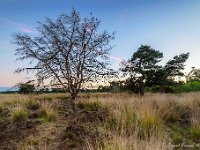 20170625 0128-HDR : Leenderheide, Nederland, Plaatsen, Valkenswaard