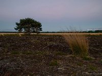 20170625 0151 : Leenderheide