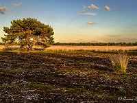 20170712 0004 : Leenderheide