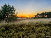 20170712 0076-HDR : Leenderheide, Nederland, Plaatsen, Valkenswaard