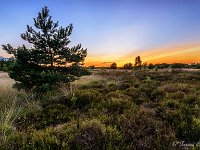 20170712 0106 1-HDR : Leenderheide, Nederland, Plaatsen, Valkenswaard