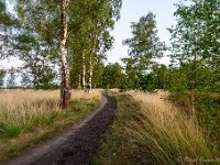 20170712 0129 : Leenderheide