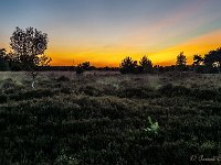 20170712 0136 : Leenderheide