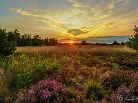 20170821 0043-HDR : Leenderheide, Nederland, Plaatsen, Valkenswaard