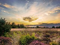 20170821 0051-HDR : Leenderheide, Nederland, Plaatsen, Valkenswaard