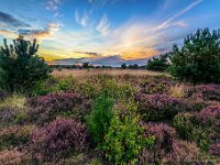 20170821 0071-HDR : Leenderheide, Nederland, Plaatsen, Valkenswaard