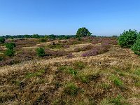 20170823 0083 : Leenderheide