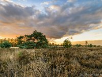 20171117 0022-HDR : Leenderheide, Nederland, Plaatsen, Valkenswaard