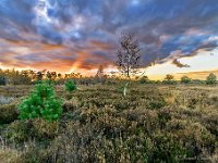 20171117 0029-HDR : Leenderheide, Nederland, Plaatsen, Valkenswaard