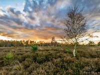 20171117 0042 : Leenderheide