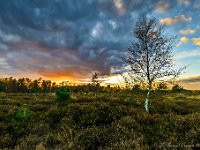 20171117 0068-HDR : Leenderheide, Nederland, Plaatsen, Valkenswaard