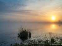 20180528 0077 : Leenderheide