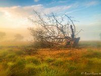 20180528 0101 : Leenderheide