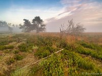 20180528 0107 1 : Leenderheide