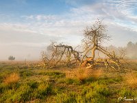 20180528 0111 : Leenderheide