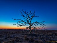 20180802 0039-HDR : Leenderheide, Nederland, Plaatsen, Valkenswaard