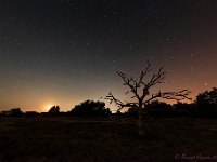 20180803 0003 2 : Leenderheide