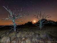 20180803 0005 : Leenderheide