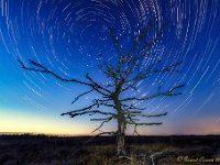 20180803 Leenderheide Startrails 2