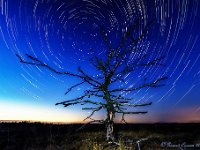 20180803 Leenderheide Startrails 4 1