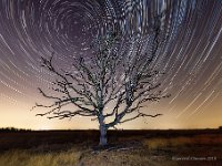 20180807 Leenderheide Startrails 1