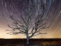 20180807 Leenderheide Startrails 11