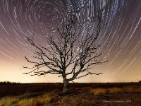 20180807 Leenderheide Startrails 2