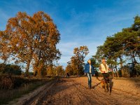 20181106 0009 : Leenderheide