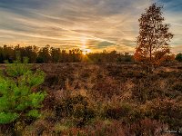 20181106 0047-HDR : Leenderheide, Nederland, Plaatsen, Valkenswaard