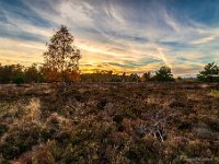 20181106 0097-HDR : Leenderheide, Nederland, Plaatsen, Valkenswaard