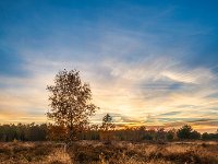 20181106 0145-HDR : Leenderheide, Nederland, Plaatsen, Valkenswaard